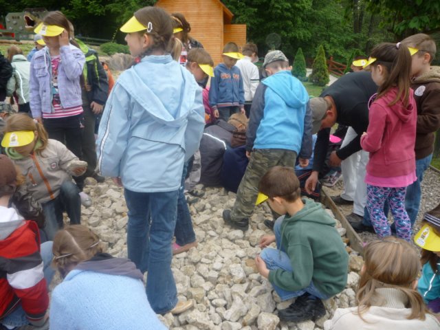 koacinek27v201066.jpg
