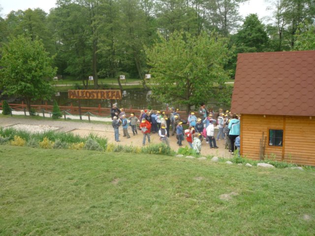 koacinek27v201067.jpg