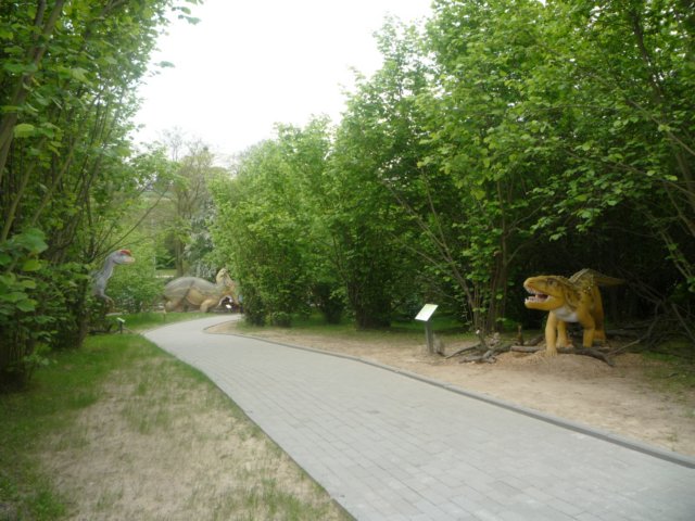 koacinek27v201070.jpg