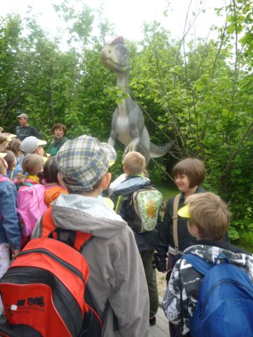 koacinek27v201074.jpg