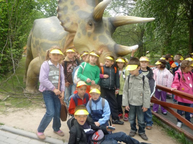 koacinek27v201077.jpg