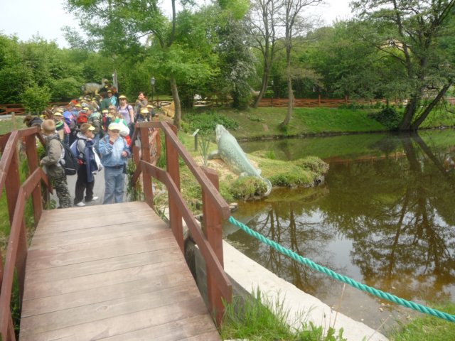 koacinek27v201080.jpg