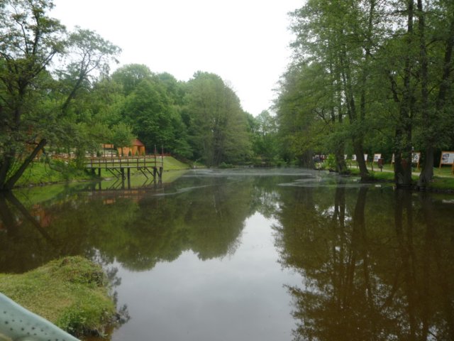 koacinek27v201081.jpg
