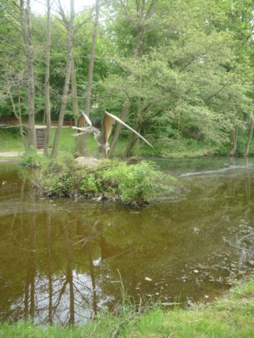 koacinek27v201084.jpg