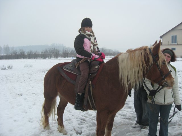 nowe236.jpg