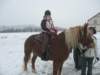 nowe236_small.jpg