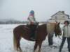 nowe238_small.jpg