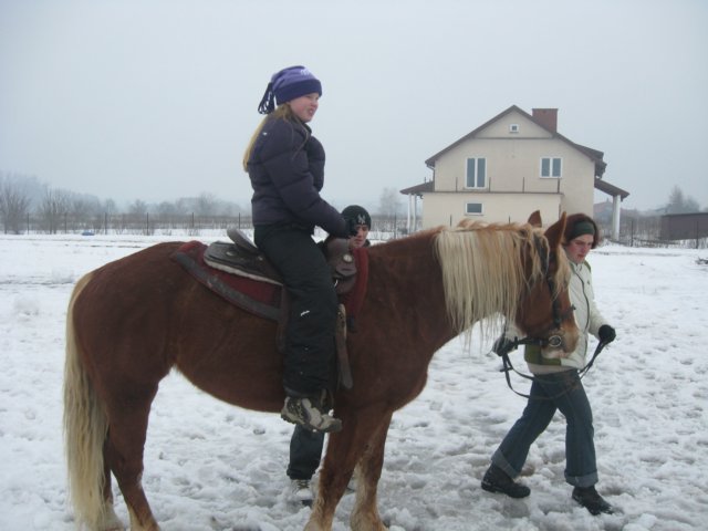 nowe241.jpg