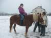 nowe243_small.jpg