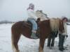 nowe244_small.jpg