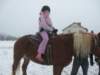 nowe245_small.jpg