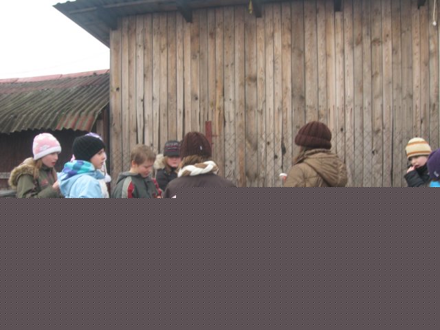 nowe246.jpg