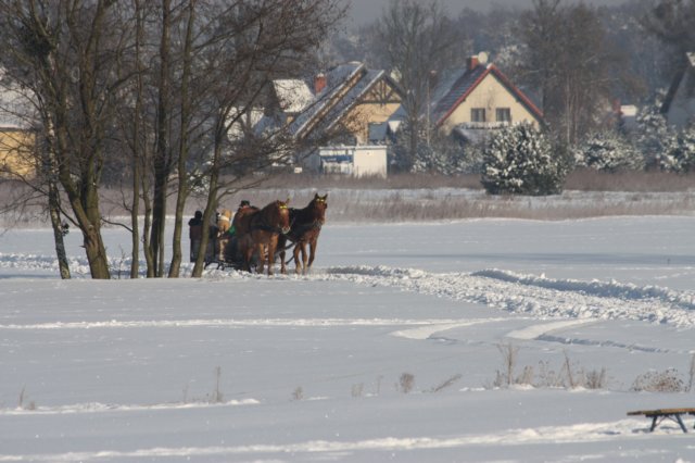 kuligiiciiic14i2010111.jpg