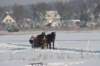 kuligiiciiic14i2010115_small.jpg