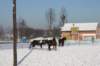 kuligiiciiic14i201011_small.jpg