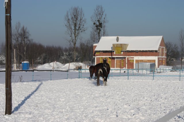 kuligiiciiic14i201012.jpg
