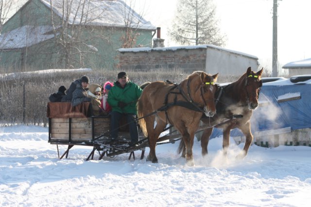 kuligiiciiic14i2010121.jpg