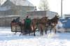 kuligiiciiic14i2010121_small.jpg