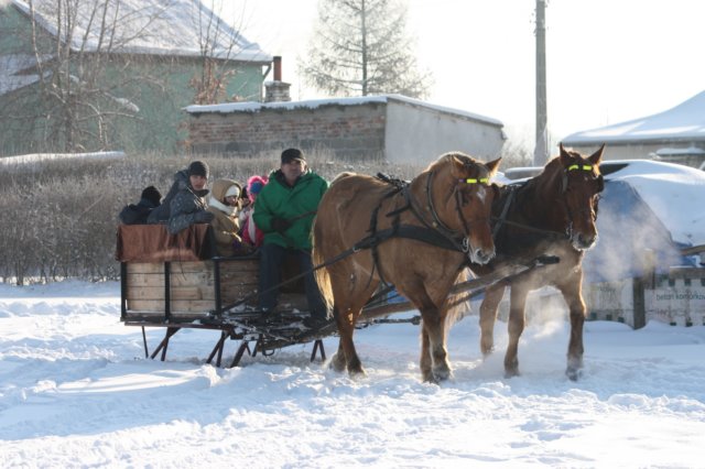 kuligiiciiic14i2010122.jpg
