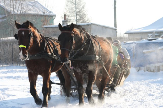 kuligiiciiic14i2010125.jpg