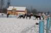 kuligiiciiic14i201013_small.jpg