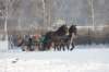 kuligiiciiic14i2010172_small.jpg