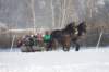 kuligiiciiic14i2010173_small.jpg