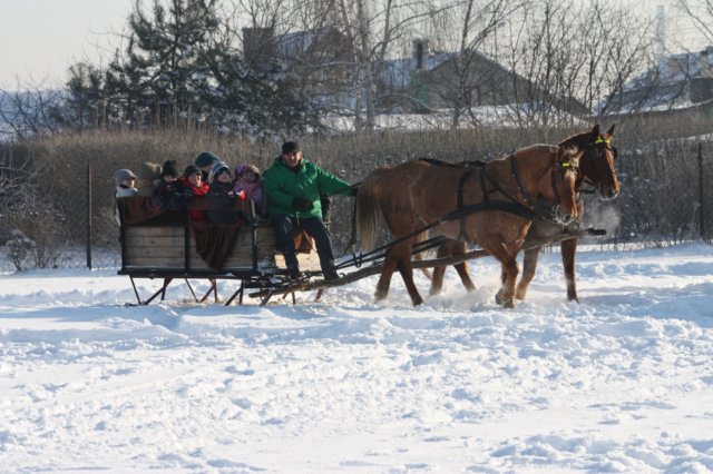 kuligiiciiic14i2010176.jpg