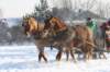 kuligiiciiic14i2010178_small.jpg