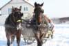 kuligiiciiic14i2010180_small.jpg