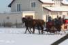 kuligiiciiic14i2010185_small.jpg