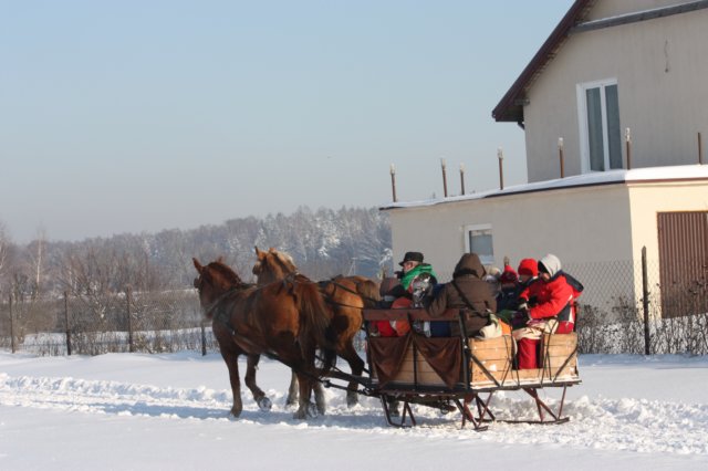 kuligiiciiic14i2010186.jpg