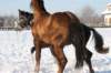 kuligiiciiic14i201018_small.jpg