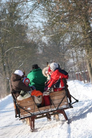 kuligiiciiic14i2010199.jpg