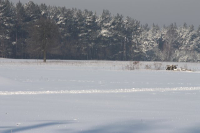 kuligiiciiic14i2010204.jpg