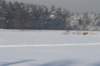 kuligiiciiic14i2010204_small.jpg