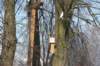 kuligiiciiic14i2010206_small.jpg