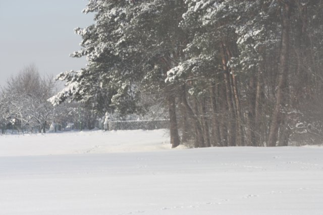 kuligiiciiic14i2010207.jpg