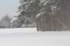 kuligiiciiic14i2010207_small.jpg