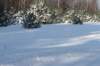 kuligiiciiic14i2010208_small.jpg