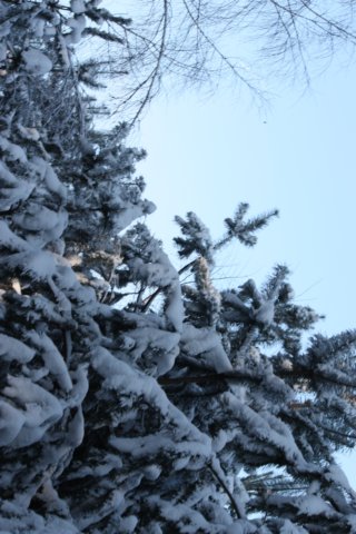 kuligiiciiic14i2010209.jpg