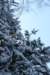 kuligiiciiic14i2010209_small.jpg