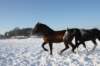 kuligiiciiic14i201020_small.jpg