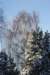 kuligiiciiic14i2010211_small.jpg