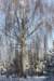 kuligiiciiic14i2010212_small.jpg