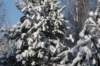 kuligiiciiic14i2010214_small.jpg
