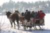 kuligiiciiic14i2010217_small.jpg