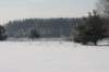 kuligiiciiic14i2010219_small.jpg