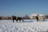 kuligiiciiic14i201021_small.jpg
