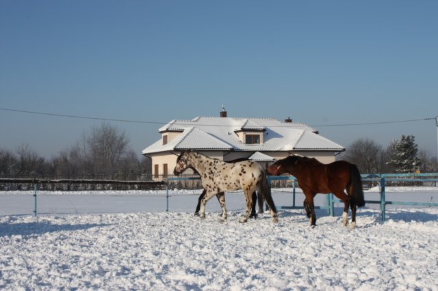 kuligiiciiic14i201022.jpg